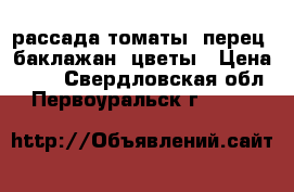 рассада томаты, перец, баклажан, цветы › Цена ­ 15 - Свердловская обл., Первоуральск г.  »    